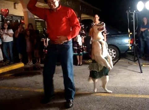 Merengue